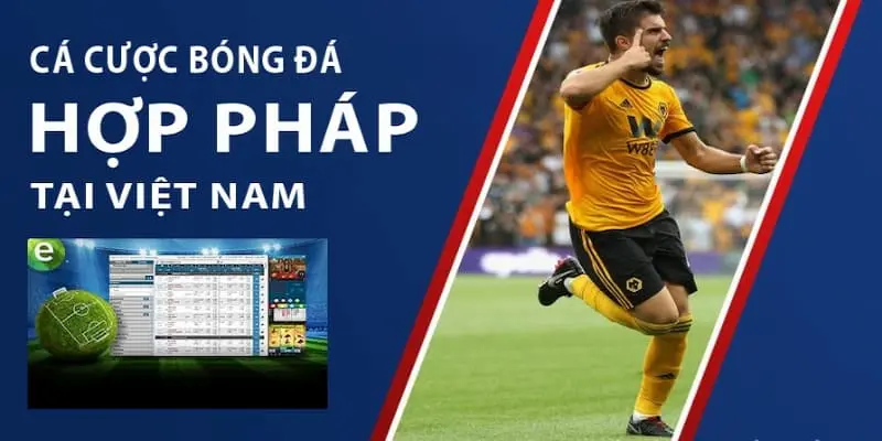Kinh nghiệm chơi cá độ bóng đá hợp pháp cho anh em