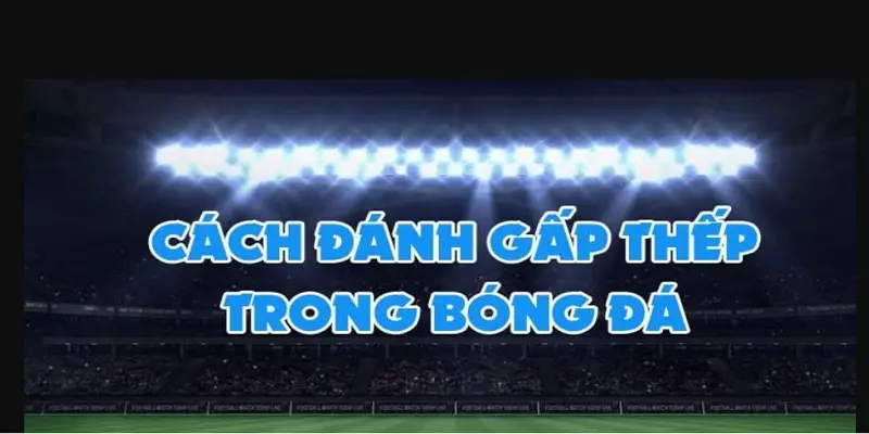 Cách Đánh Gấp Thếp Bóng Đá Hiệu Quả Như Dân Chơi Chuyên Nghiệp 
