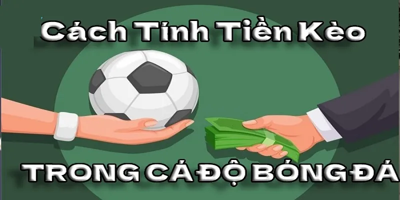 Cách Tính Tiền Cá Độ Bóng Đá Chi Tiết Cho Mọi Người Chơi 