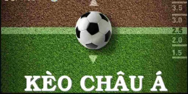 Cách tính tiền cá độ bóng đá kèo châu Á vô cùng đơn thuần