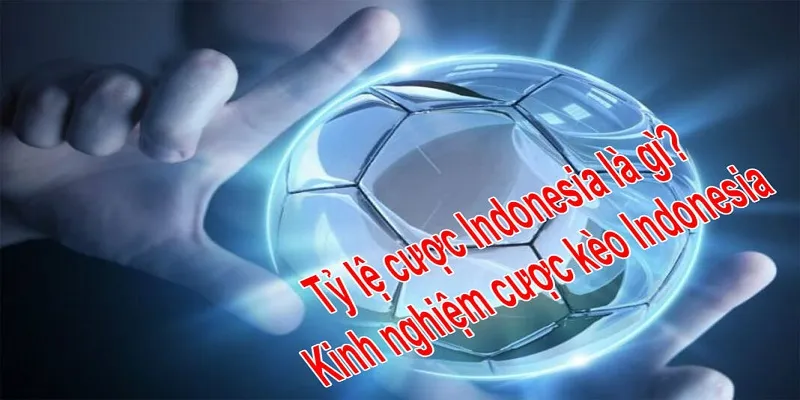 Cách tính toán tỷ lệ đơn thuần dành cho người mới chơi