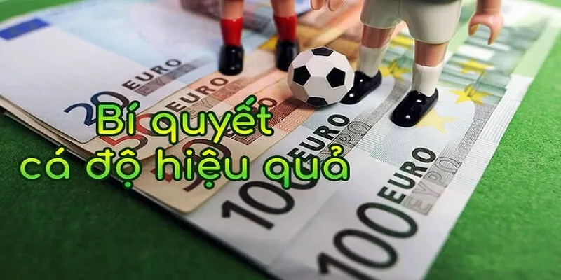Chơi cá độ bóng đá cần biết cách quản lý vốn