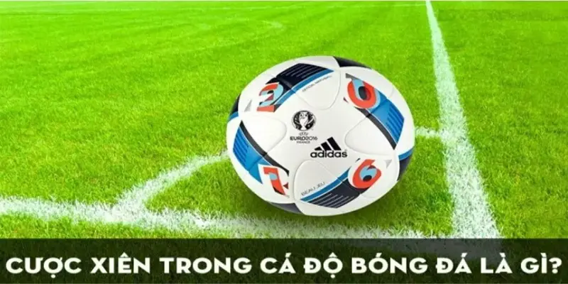 Cược xiên trong bóng đá phương thức chơi rất phổ biến