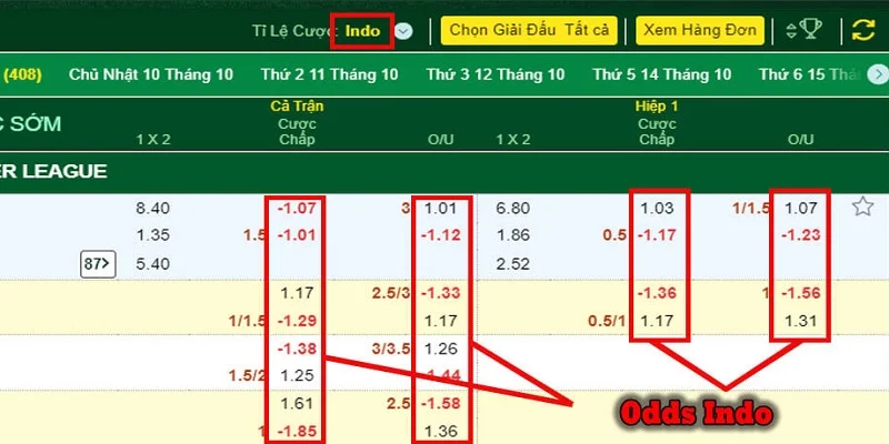 Indo Odds tỷ lệ cơ bản trong cá độ bóng đá