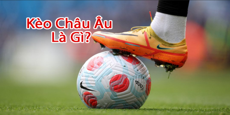 Cách đọc kèo châu Âu chuẩn với tỷ lệ cược cực cao