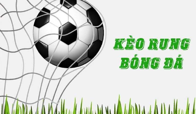 Nên bắt kèo rung vào lúc nào?