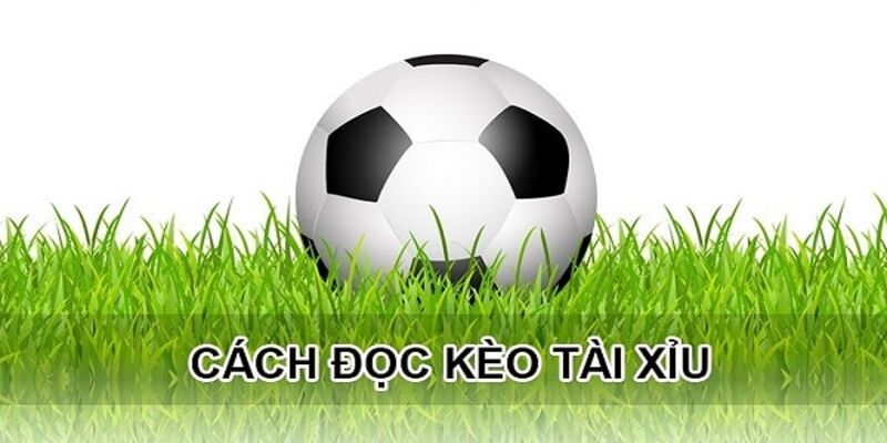 Hướng dẫn người chơi cách đọc kèo tài xỉu là gì?