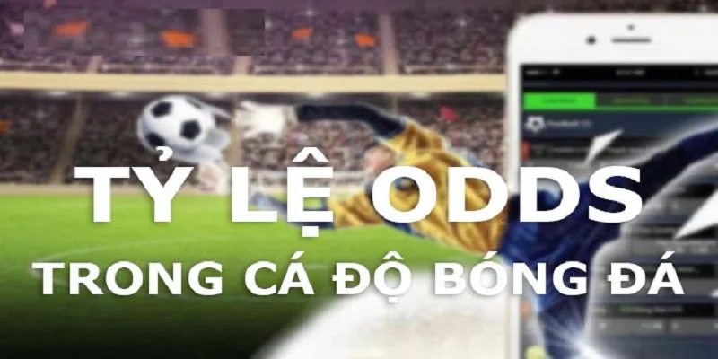 Odds Là Gì?  Những Thông Tin Quan Trọng Bạn Cần Biết 