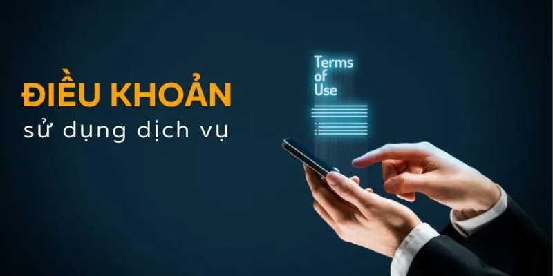 Thông tin chi tiết về điều khoản sử dụng Bsports cho người chơi
