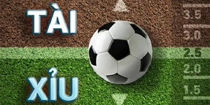 Thuật ngữ cá độ tài xỉu
