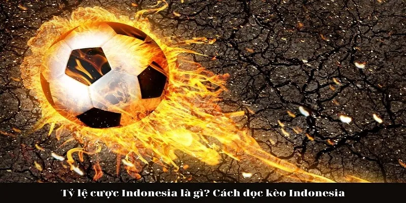 Tỷ Lệ Cược Indonesia – Mẹo Chơi Giúp thắng lợi Lớn